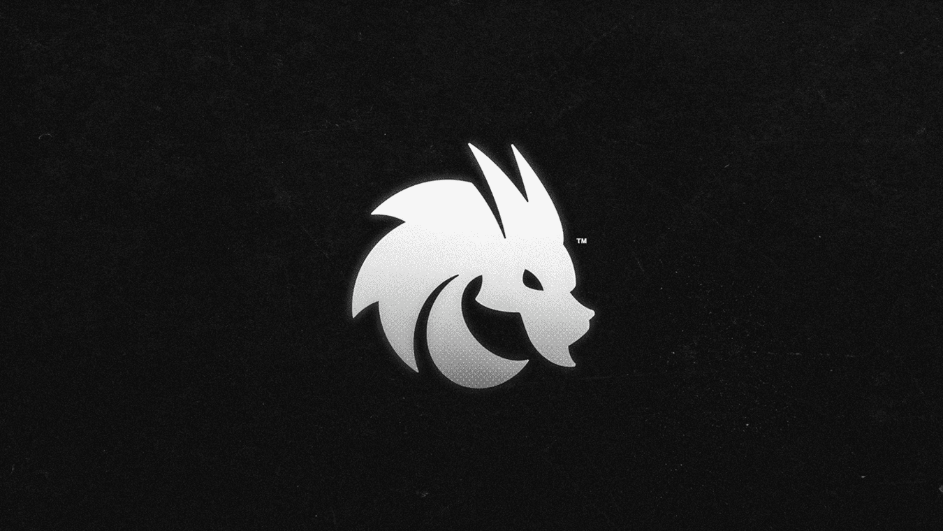 Рифлер Spirit по Counter-Strike 2 за год сделал столько эйсов, сколько и остальная команда