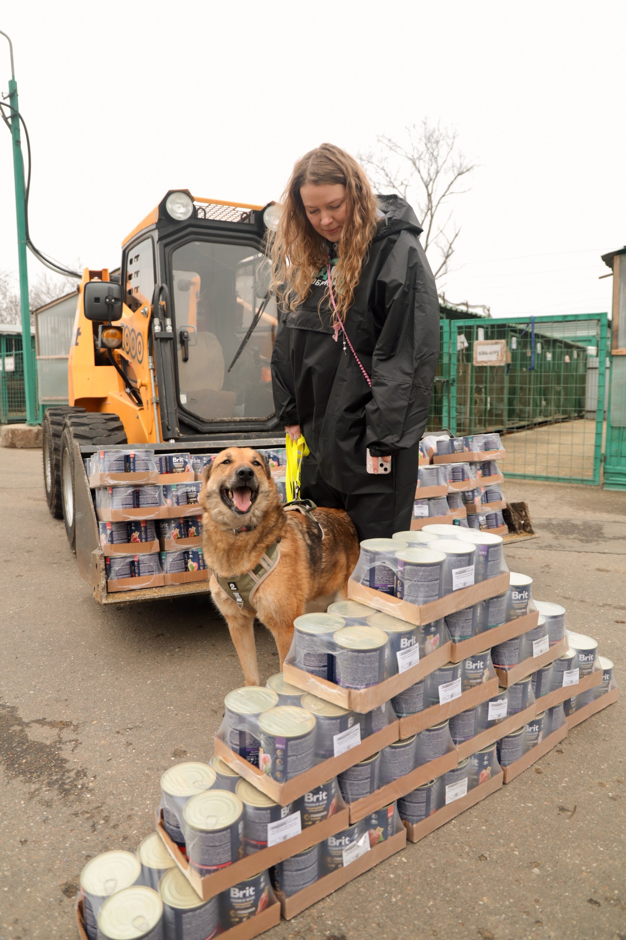 PARI собрала 1 200 000 рублей на корм для бездомных собак в ходе акции «Андердоги»